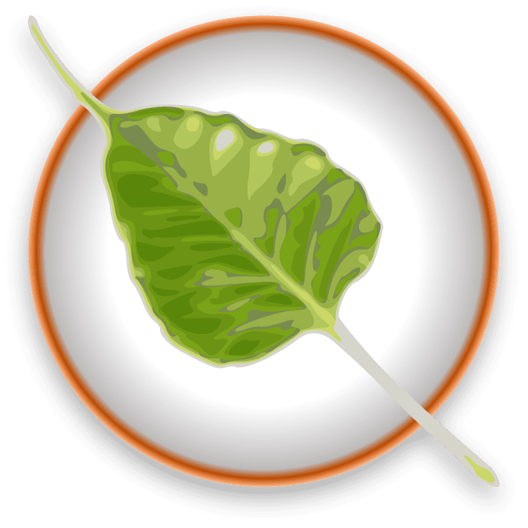 linuxsur's tweet card. Desde el día de ayer está disponible para su descarga, la versión 4.0.0 de Bodhi Linux, que está basada en ubuntu 16.04.1 LTS y equipada con el entorno de