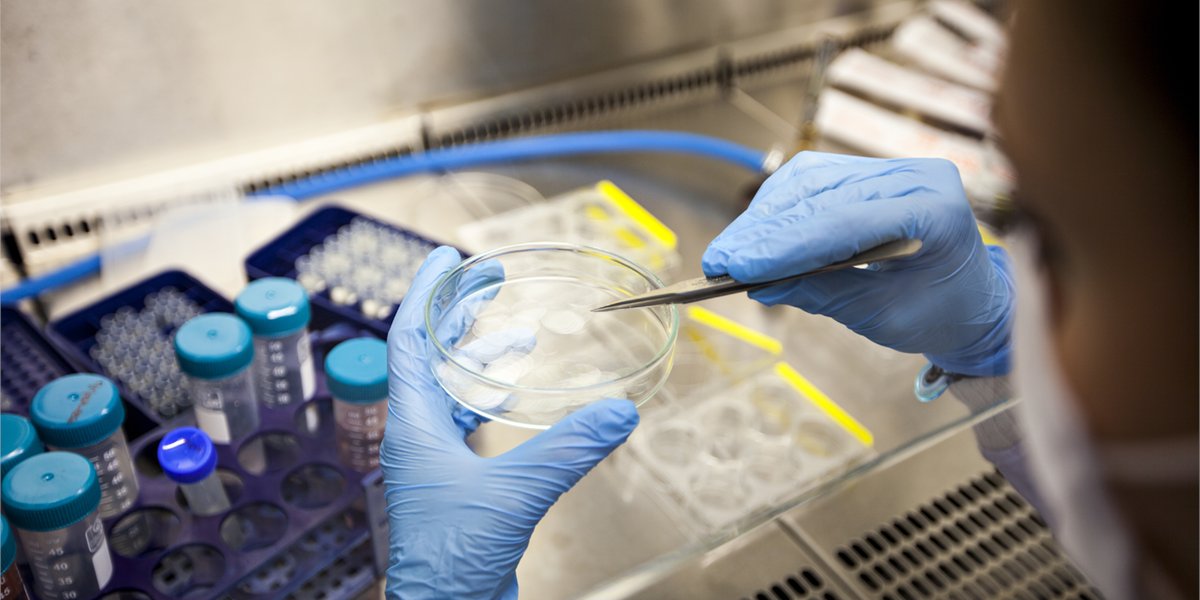 WimsigAU's tweet card. Nine University of Sydney researchers have secured over $10 million in Australian Research Council (ARC) Future Fellowships.