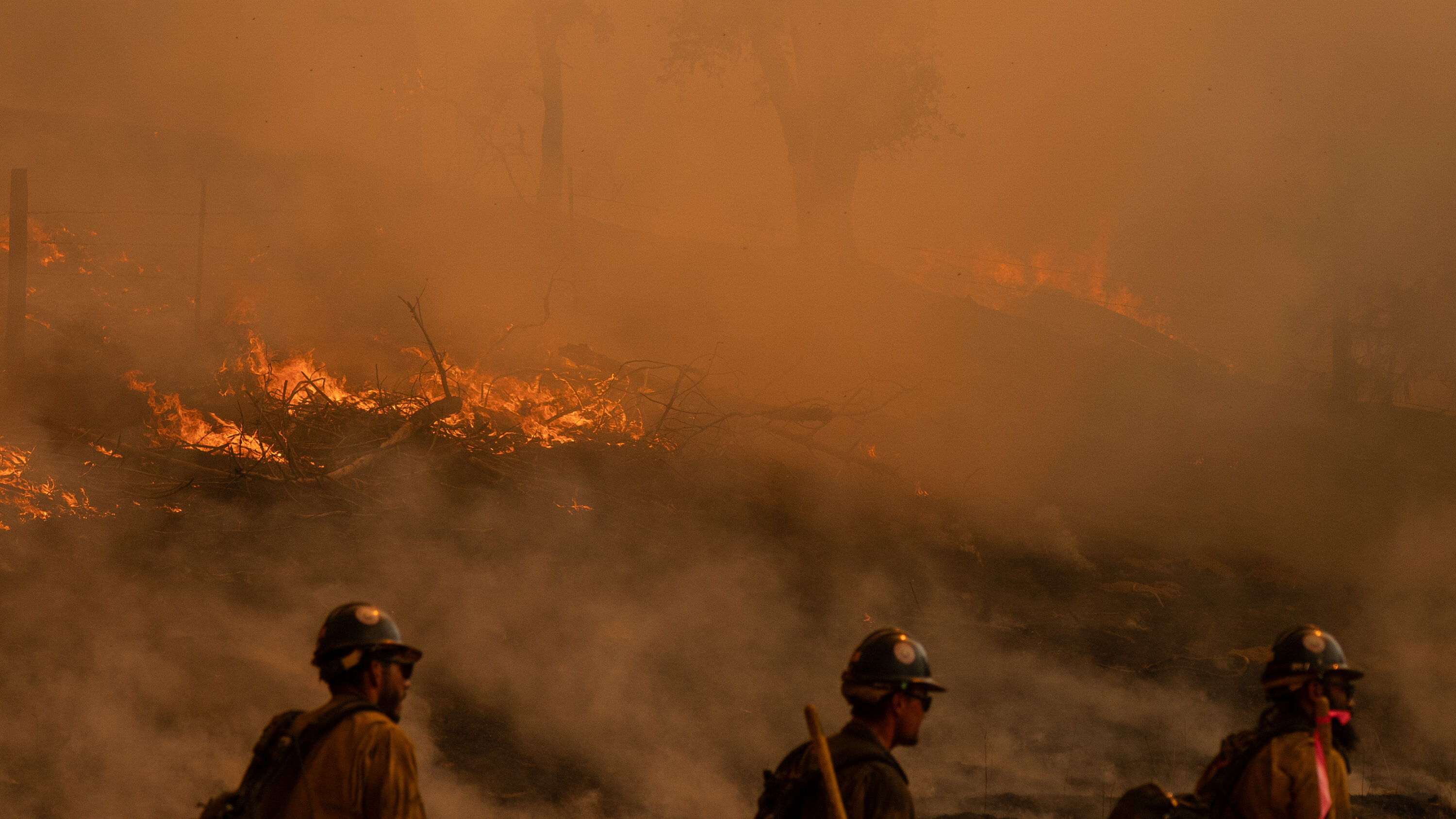 aclima's tweet card. The U.S. Forest Service has fought decades of efforts to better protect its crews — sending them into smoke without masks or warnings about the risks.