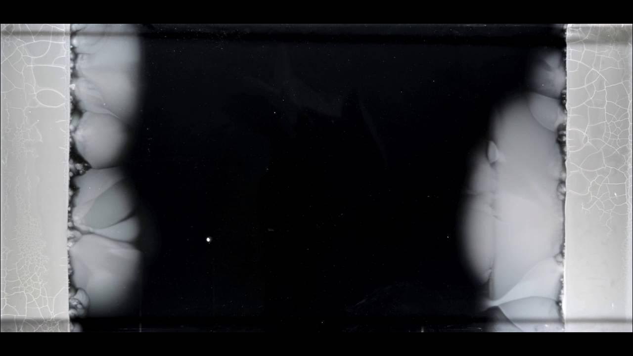 fjc0000's tweet card. The Evolution of Bacteria on a “Mega-Plate” Petri Dish (Kishony Lab)