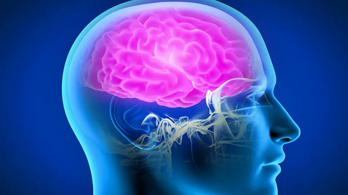 sparuniisc's tweet card. Ever met someone who struggles to recognise celebrities—or mistakes Shah Rukh Khan for Donald Trump? Sounds unbelievable, but for people with prosopagnosia, or face blindness, this is a daily reality.