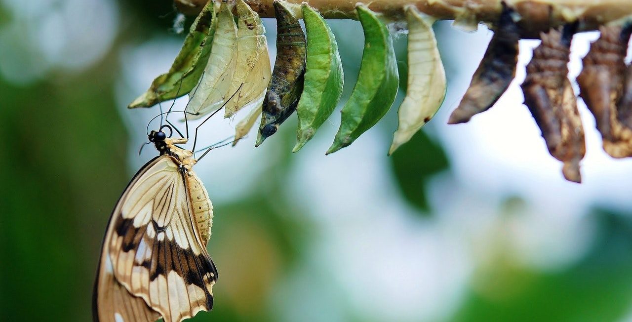 RobBath's tweet card. Adaptive Scopes Offer a New Way of Applying Retention Policies to Your Content. They Look for Attributes On a Given User Which Can Then Be...