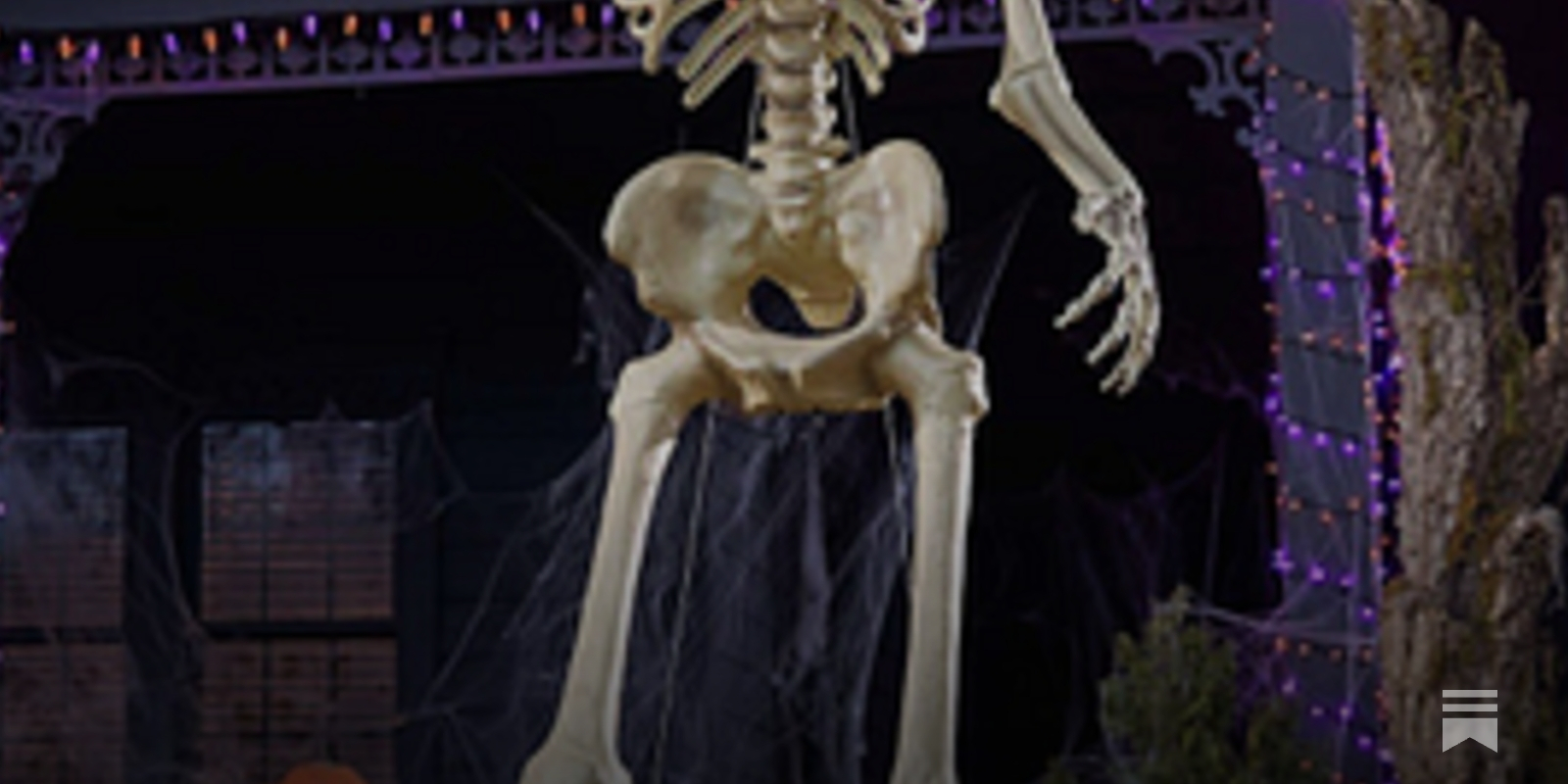 masterfulbob's tweet card. Dear America...