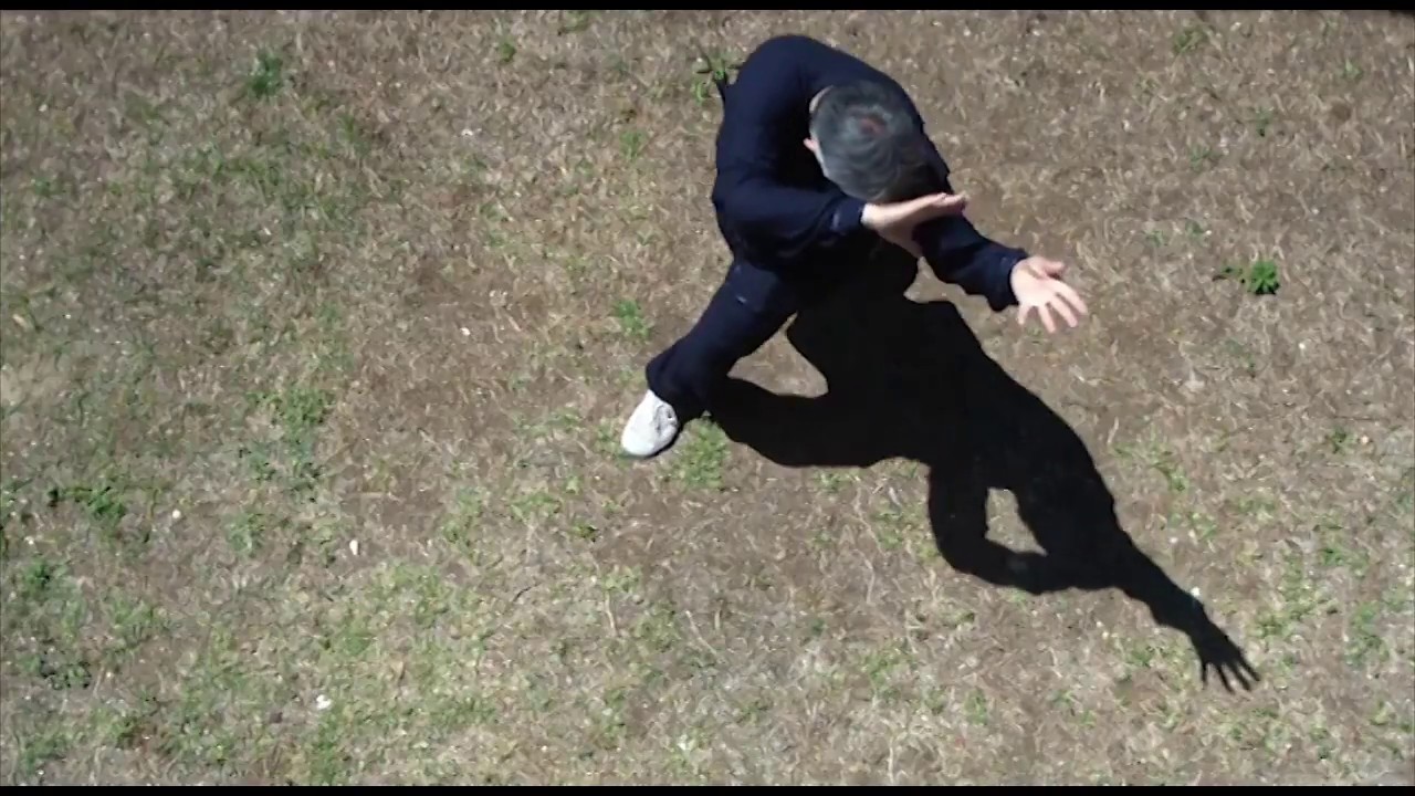 baguacademy's tweet card. Baguazhang highlight 3