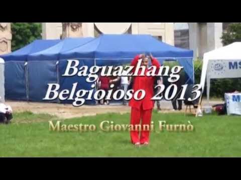 baguacademy's tweet card. Esibizione di baguazhang del Maestro Giovanni Furnò a Belgioioso (...