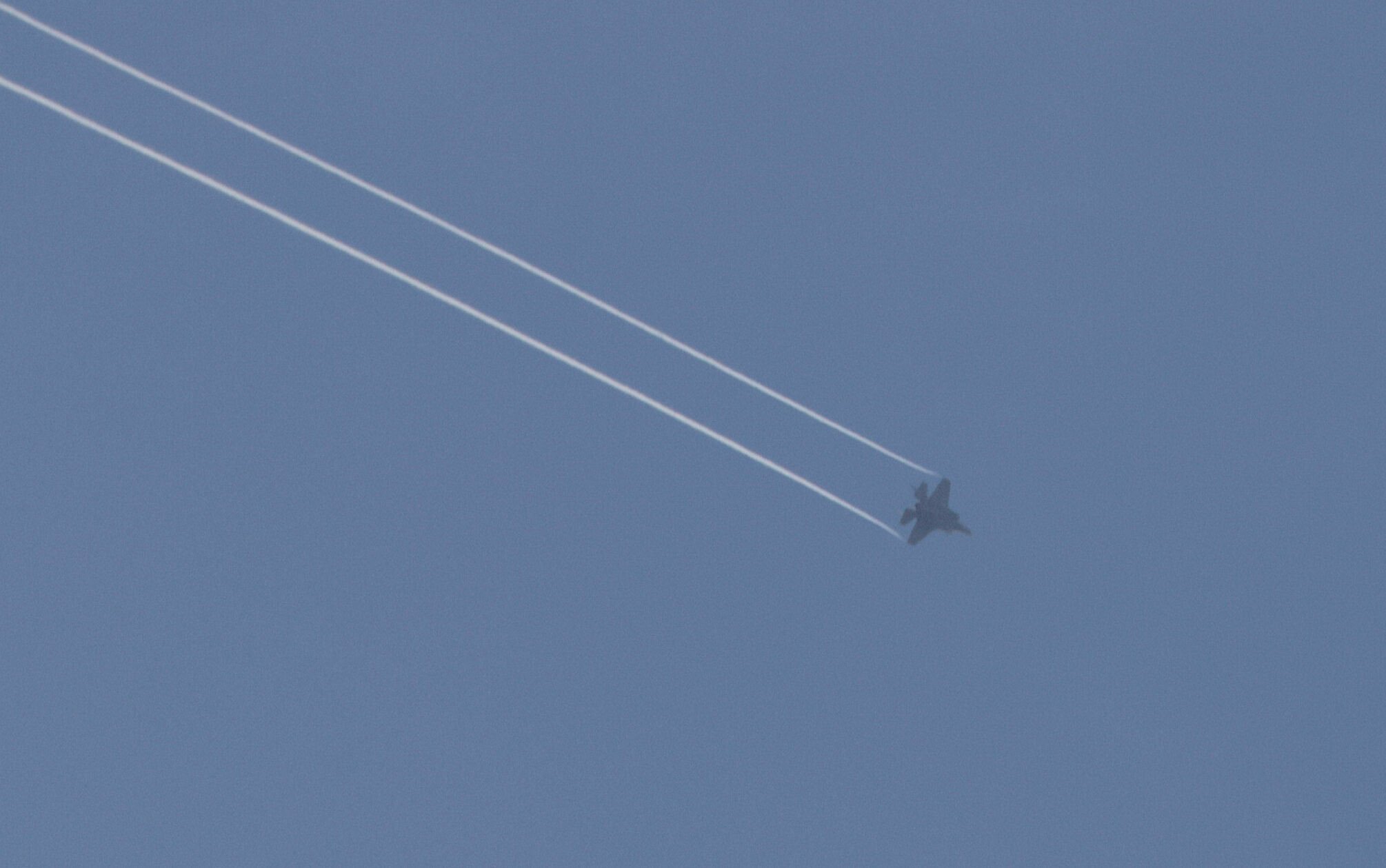 nayelshafei's tweet card. * * *