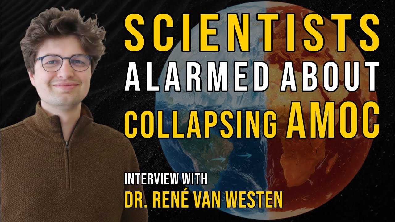 AngelicUniverse's tweet card. The Real Risks of AMOC Collapse I AMOC Tipping Points and Climate...