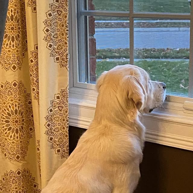 tracimuffet's tweet card. Tracimuffet (@tracimuffet) • Instagram photo