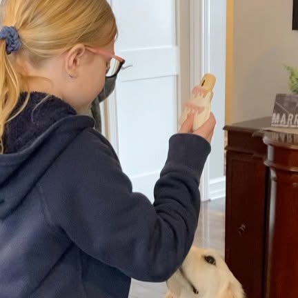 tracimuffet's tweet card. Tracimuffet (@tracimuffet) • Instagram photos and videos