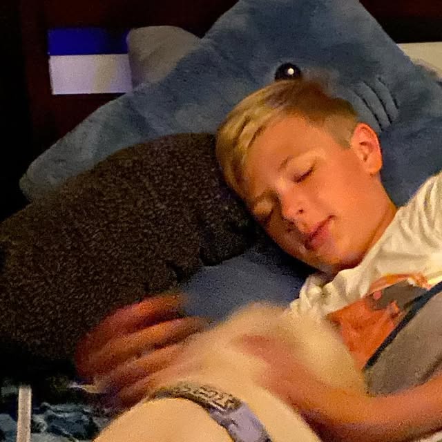 tracimuffet's tweet card. Tracimuffet (@tracimuffet) • Instagram photo