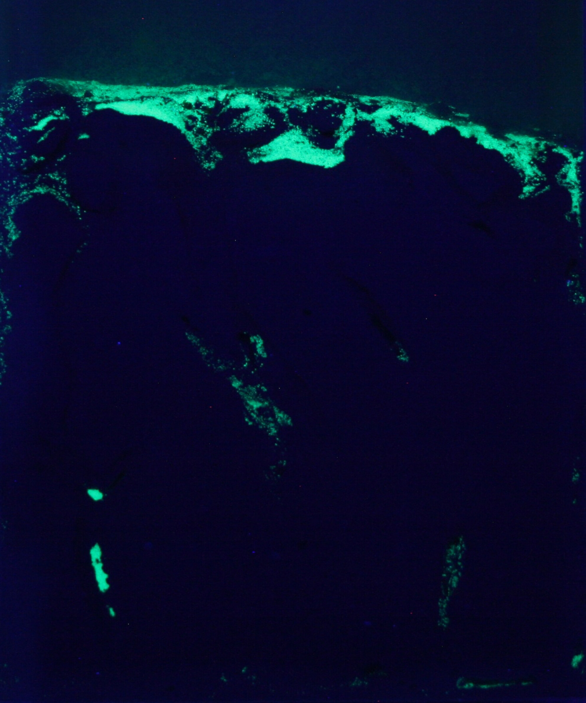 sanders_trystan's tweet card. Read the free Plain Language Summary for this article on the Journal blog.