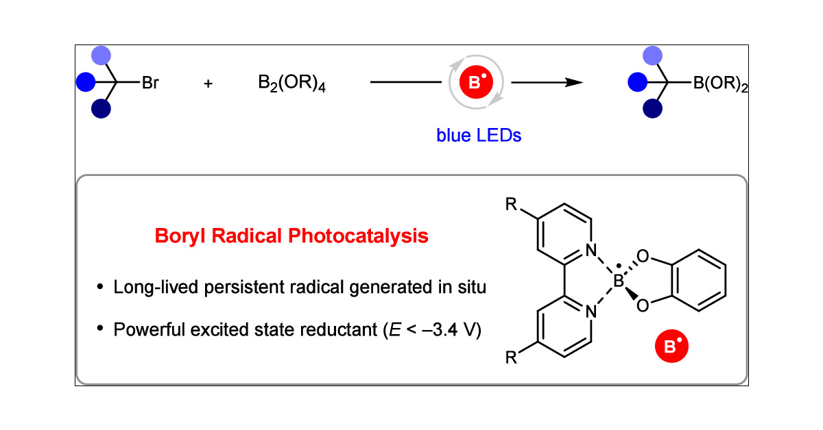 AggarwalLab's tweet card. Organic free radicals are commonly perceived to be highly reactive species with short lifetimes, yet there are many examples that defy this convention by displaying remarkable stability. Although...
