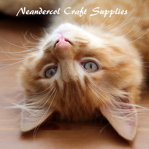 Neandercol's tweet card. Shop Neandercol Craft and Vintage Supplies by Neandercol located in Durham, England.