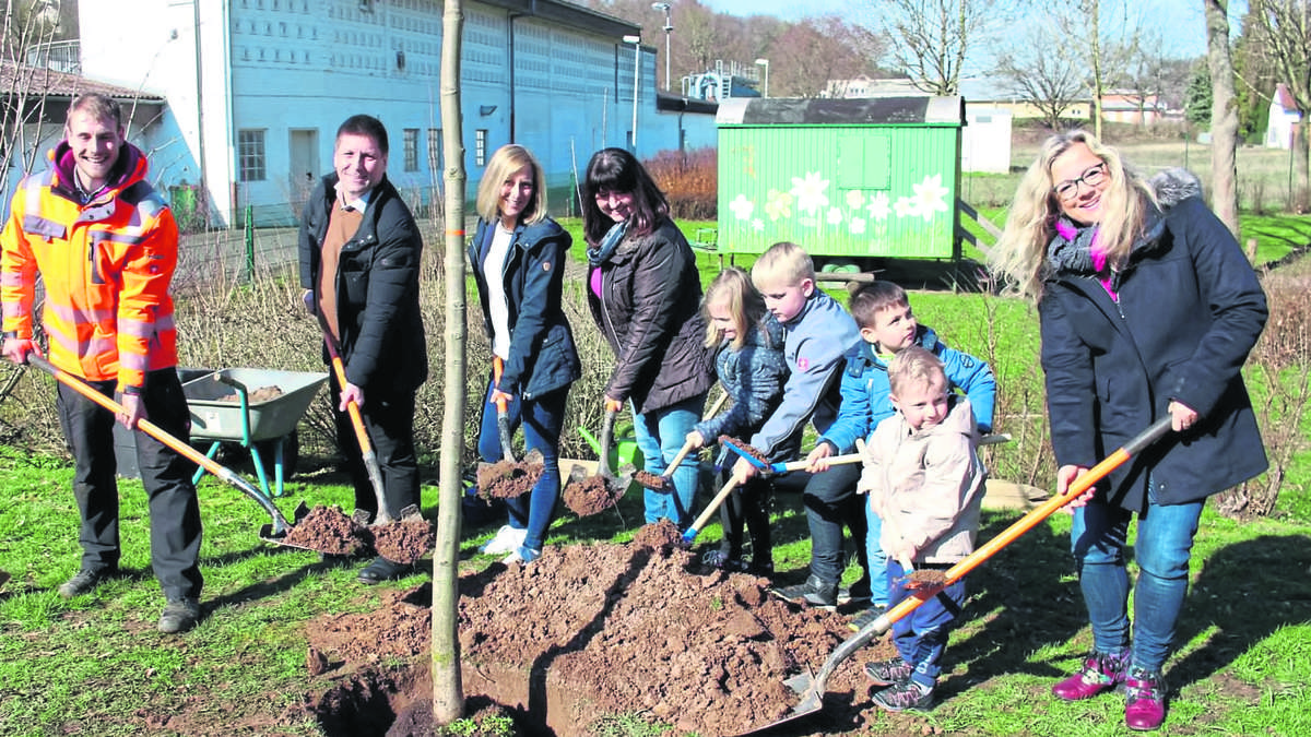fdp_sv_hef's tweet card. Neue Kastanie für Kita-Knirpse in Bad Hersfeld