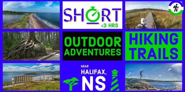 Image for twitter card