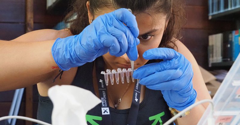 Tweet card summary image