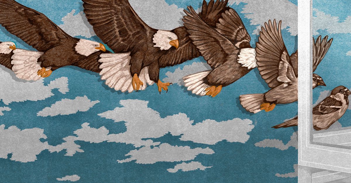 peteraspeslagh's tweet card. 80 jaar bevrijding: Alleen als we onder ogen zien dat het kwaad ook uit de eigen samenleving kan komen, en zelfs vanuit onszelf, kunnen we leren van de geschiedenis, schrijft Floor Rusman.