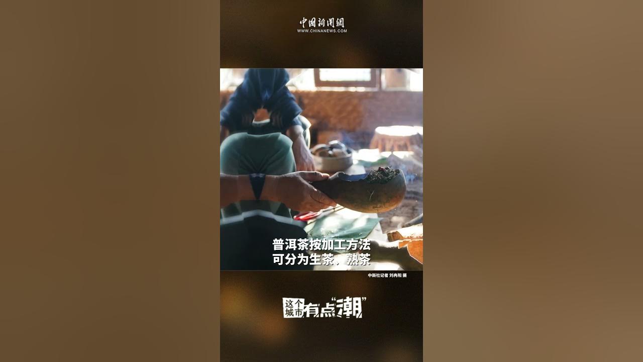 tvmedium's tweet card. 这个城市有点潮—#云南普洱#history #chineselanguagelearning