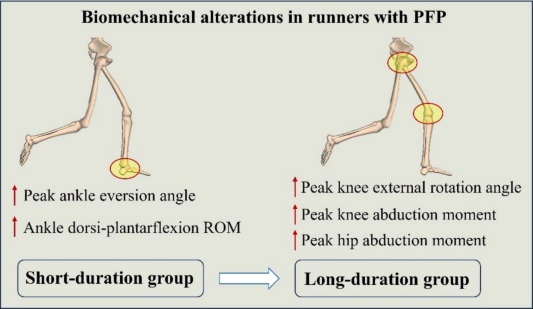 TheKneeJournal's tweet card. To investigate the biomechanical alterations in the lower limbs of runners with varying durations of patellofemoral pain (PFP) and provide a basis for the rehabilitation treatment of PFP.