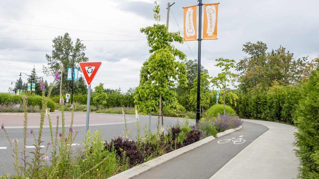 MultiModalExp's tweet card. Chemainus Road Raised Cycle Track (Chemainus, BC - June 2024)