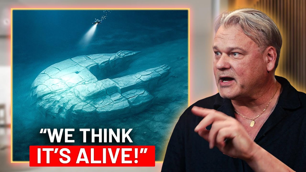 dennis_asberg's tweet card. “We Found A UFO At The Bottom Of The Baltic Sea!” -Treasure Hunter...