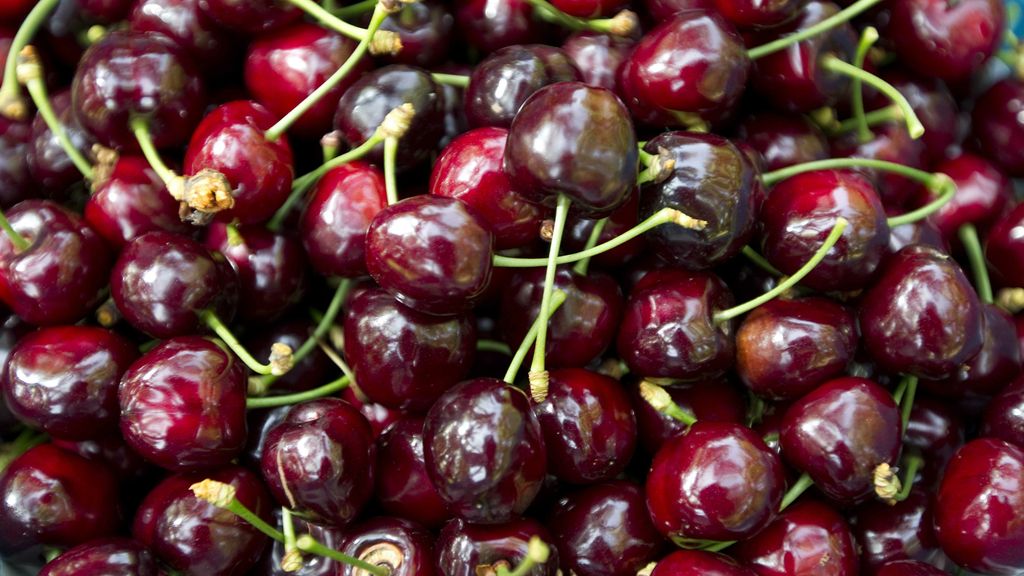 Fleurtje_Eliza's tweet card. De exotische fruitvlieg bedreigt al jaren de Nederlandse kers.