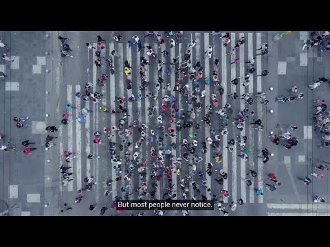 MarkusMeisl's tweet card. The Coolest Software Company You Have Never Heard Of