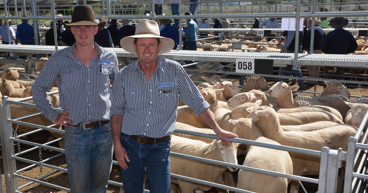 KBaileyMarkets's tweet card. Lamb finishers should come to terms with the news that prices won't get back to 800 to 900...