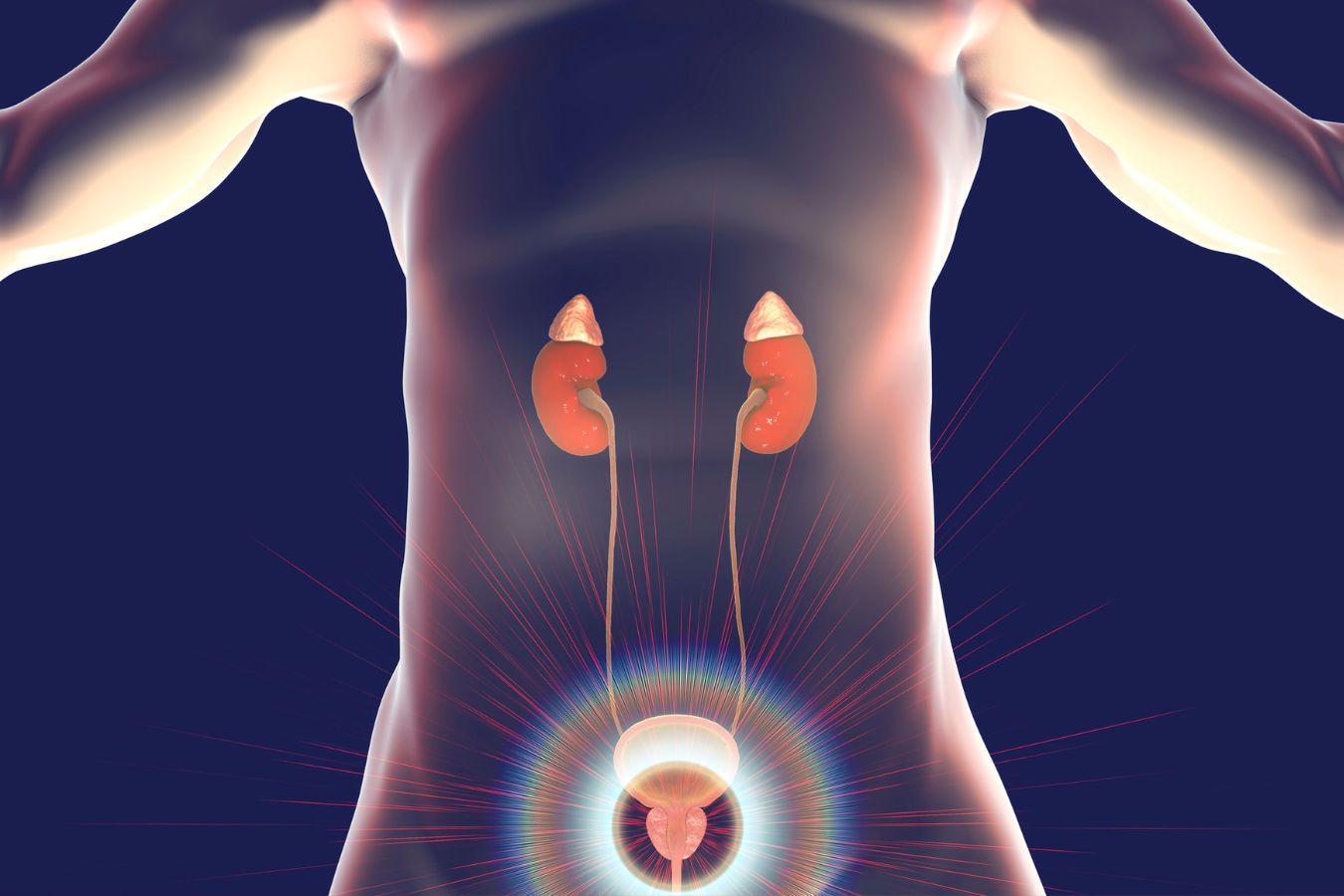 hq_tree's tweet card. Discover effective natural remedies for enlarged prostate to alleviate symptoms and promote prostate health.