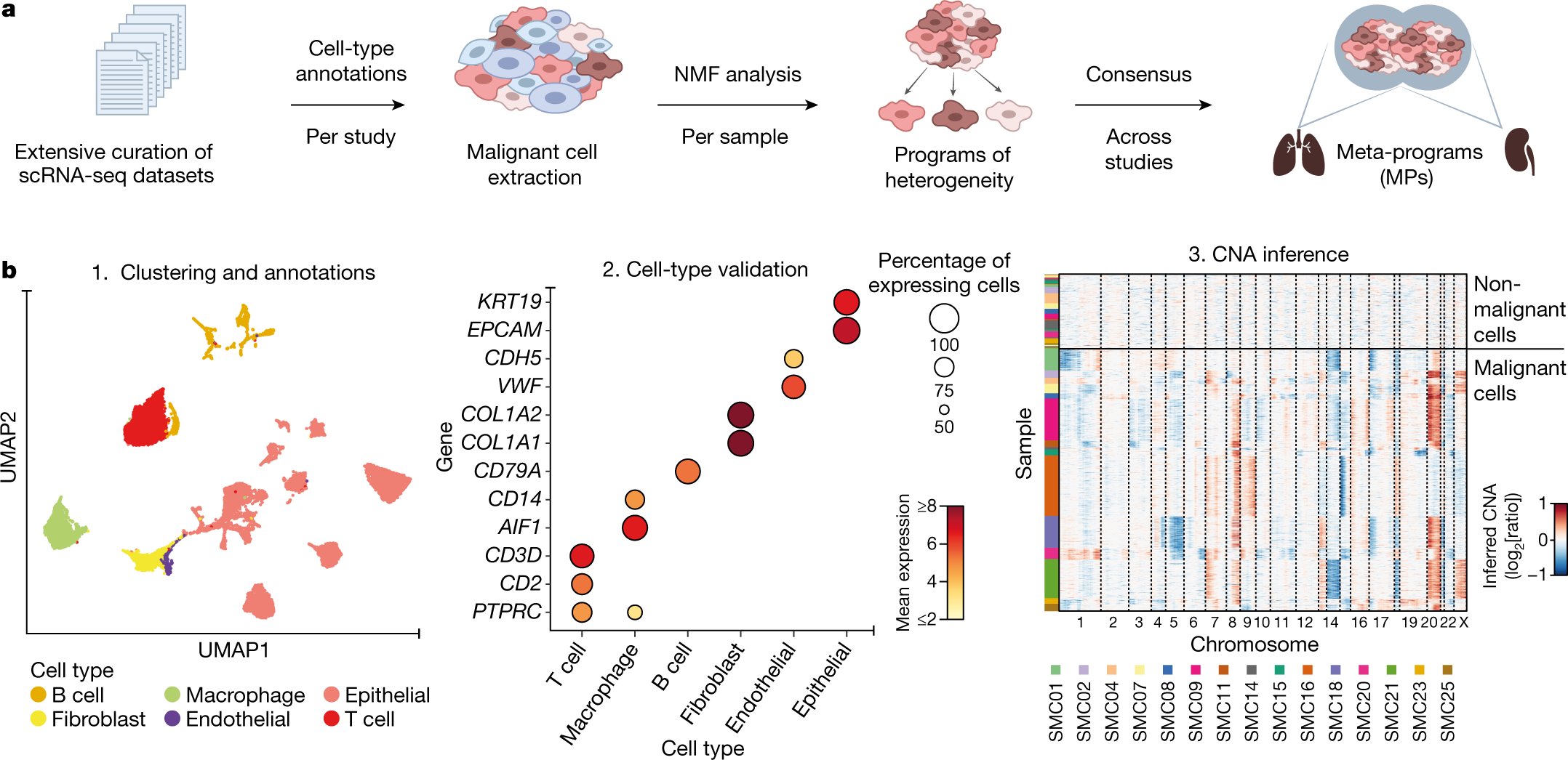 TiroshLab's tweet card. Nature - A study identifies 41 consensus gene expression meta-programs that are coordinately upregulated in subpopulations of malignant cells across tumour types, providing a comprehensive picture...