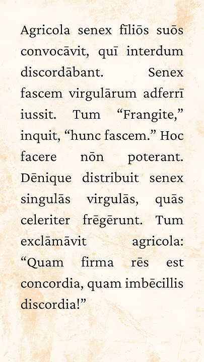 lingualatinapl's tweet card. In Union is Strength