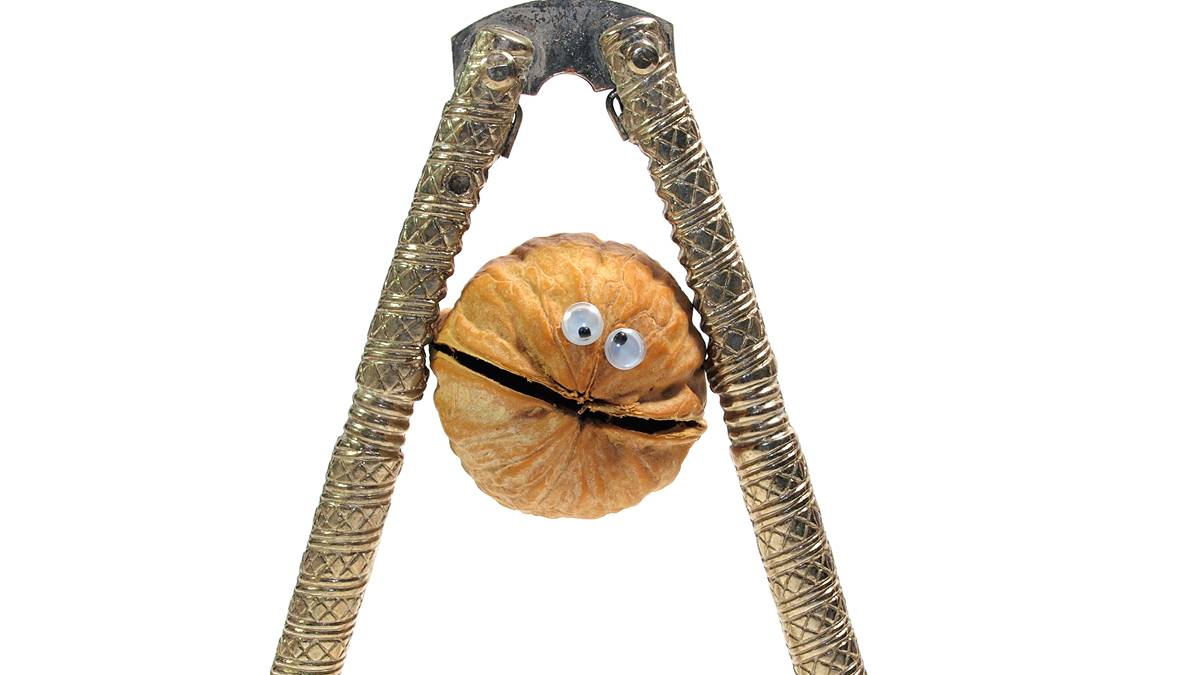 ampliatx's tweet card. Amplia Therapeutics has reported a 'complete response' from a patient with metastasised pancreatic cancer: "A rare event".