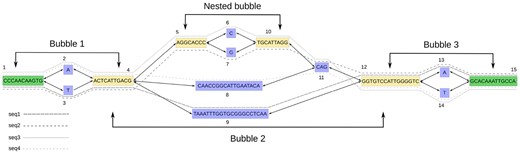 jsantoyo's tweet card. AbstractMotivation. With the fast development of sequencing technology, accurate de novo genome assembly is now possible even for larger genomes. Graph-bas