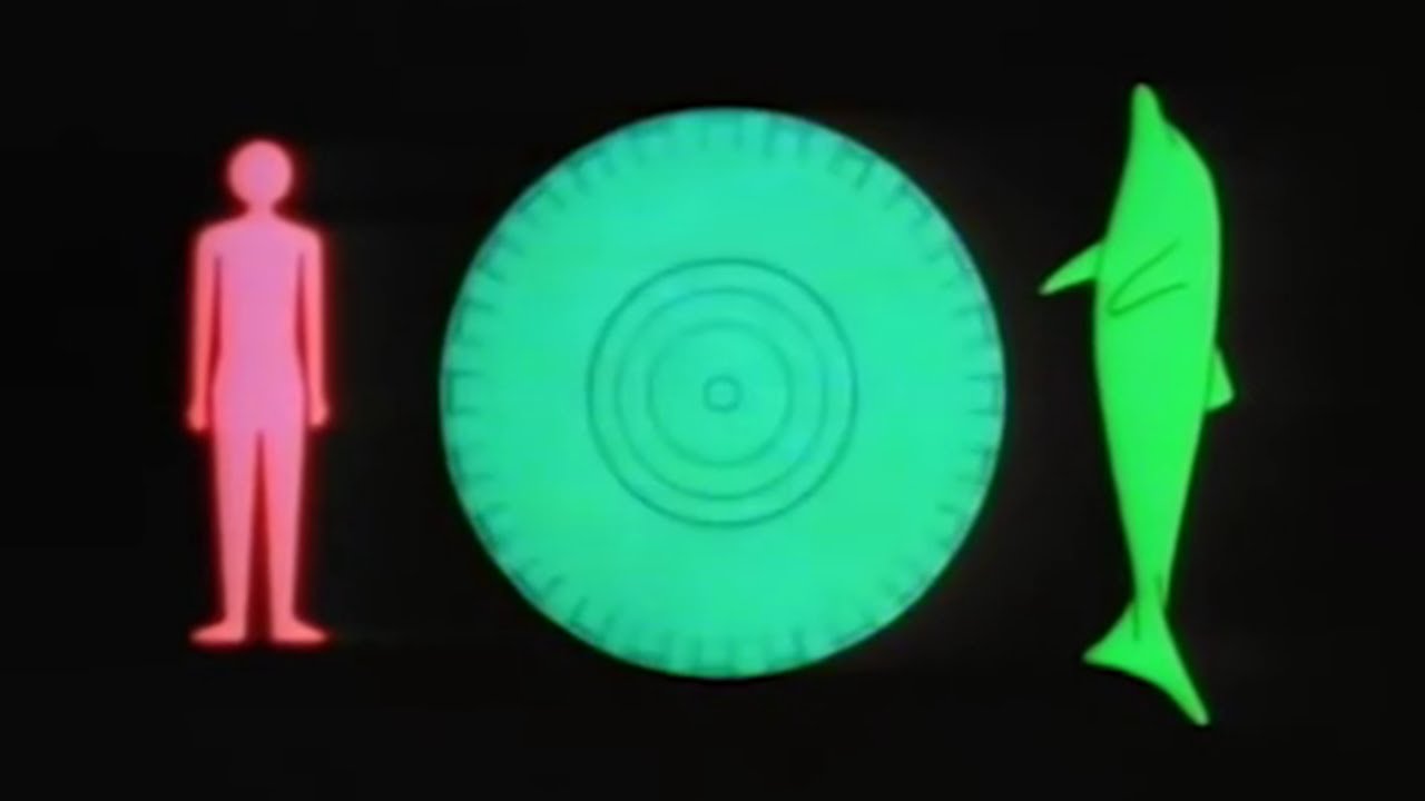 mthrnturr's tweet card. The Most Intelligent Beings on Earth | The Hitchhiker's Guide to the...