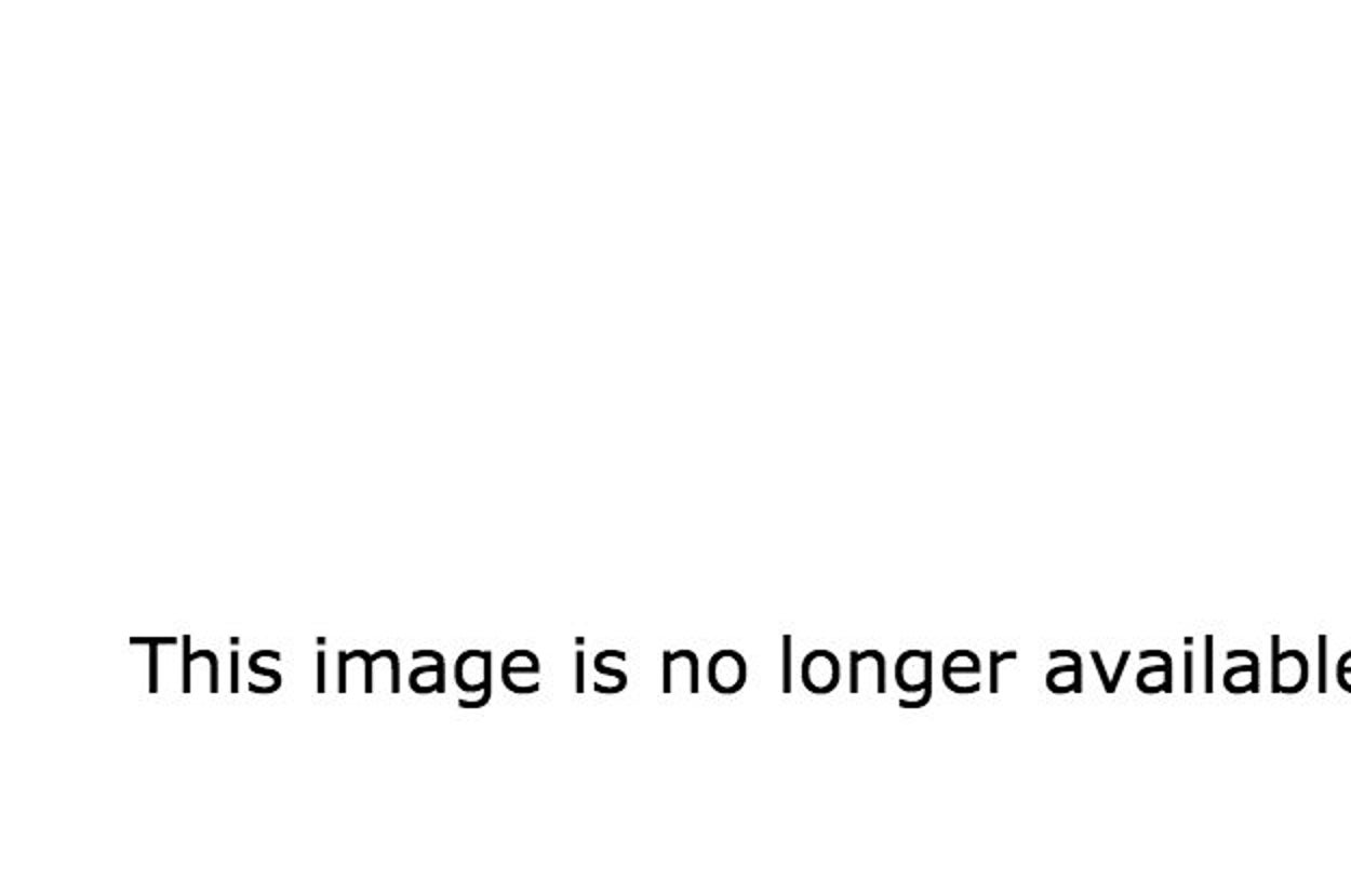 vncc4z's tweet card. No regrets.