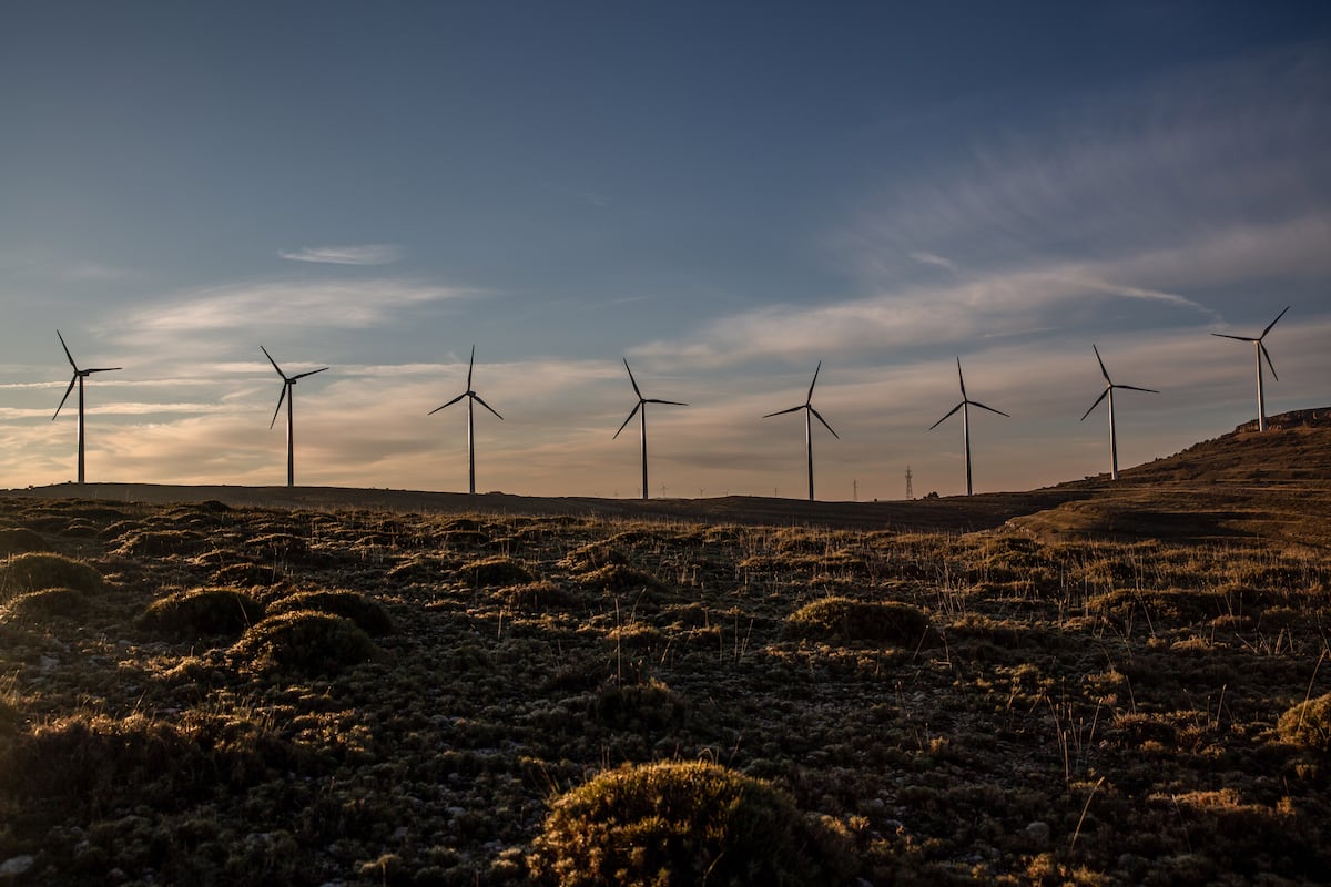 dani_morel's tweet card. La región está siendo golpeada por eventos climáticos extremos como incendios, sequías, inundaciones y temperaturas récord cada vez más frecuentes con consecuencias que agravan aún más las desigual...