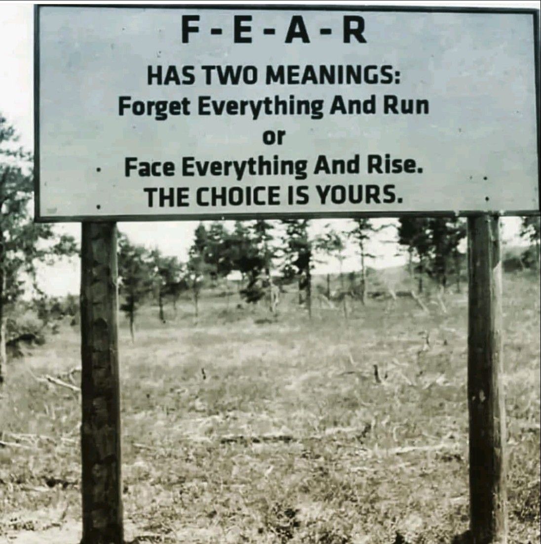 TechNexion's tweet card. of course option 2.