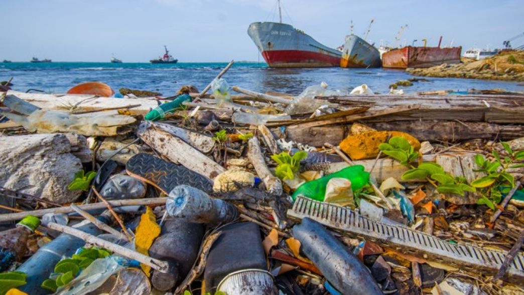 GCPwindsor's tweet card. Plastic In Oceans Will Outweigh Fish By 2050