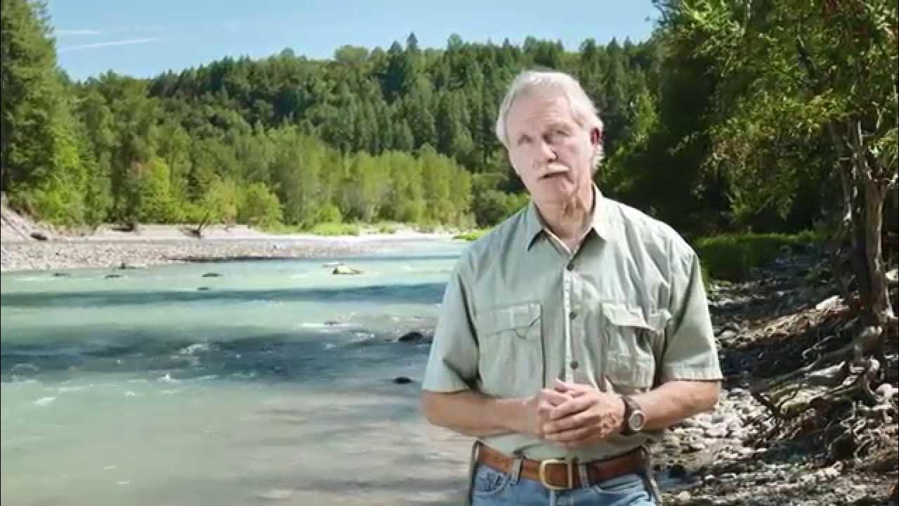 KitzForGov's tweet card. Kitzhaber for Governor - Reason