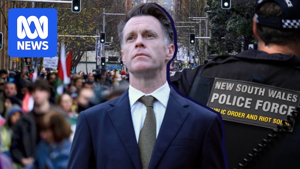 mnxmoosi's tweet card. When 60 neo-Nazis lined outside NSW parliament last week, the premier's response was swift and familiar — steadily tightening the state's protest laws in response to flashpoint events.