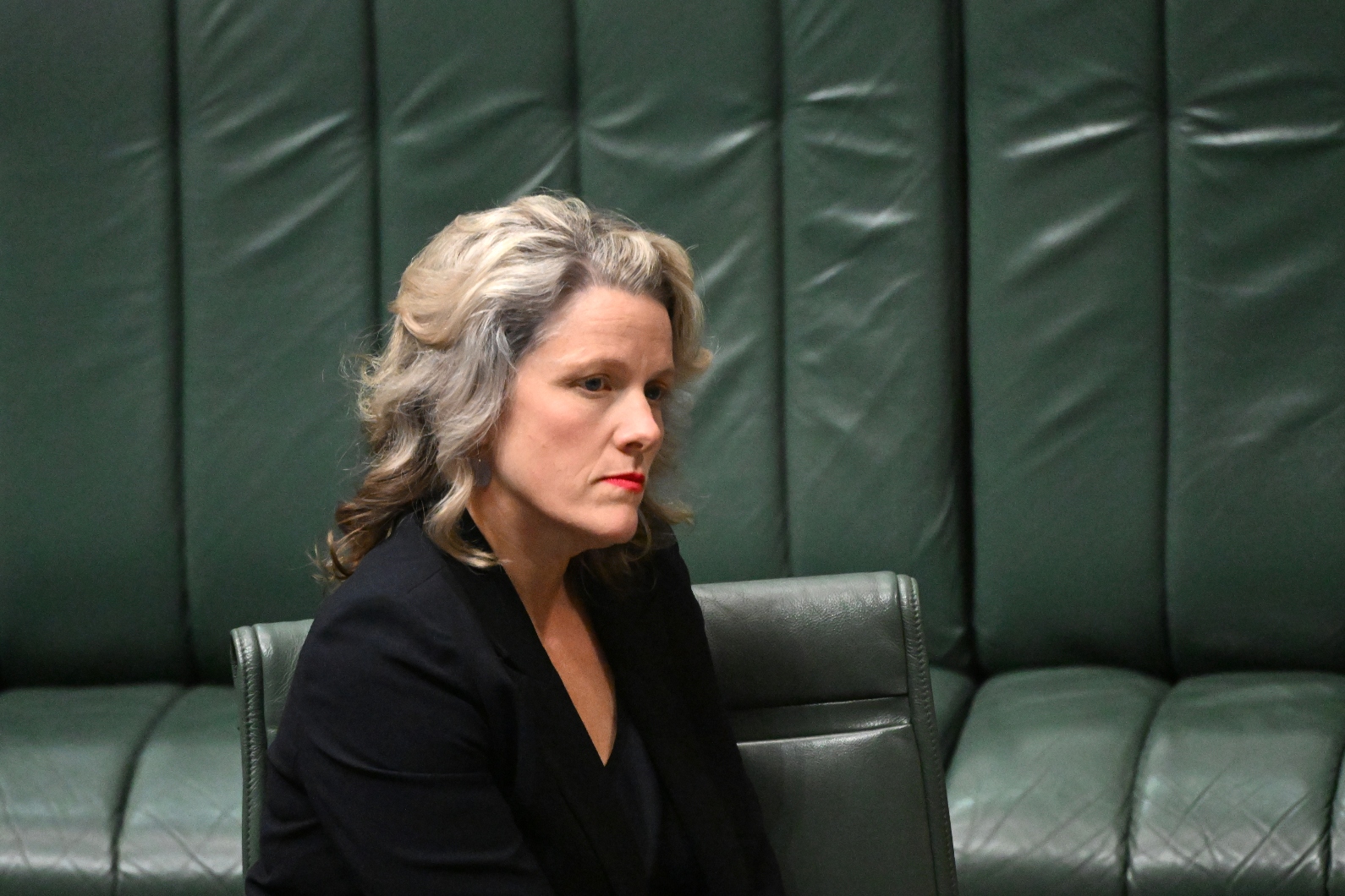 TheMandarinAU's tweet card. The Home Affairs Minister says mis- and disinformation, foreign interference, crumbling social cohesion are the main challenges to democracy.