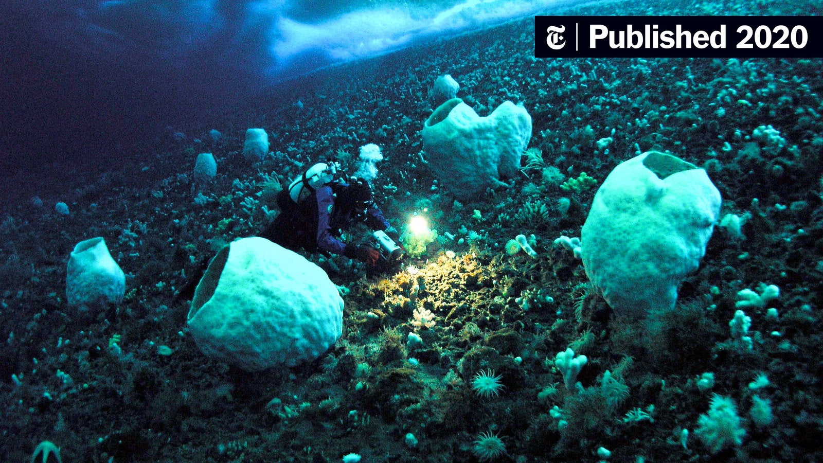 TechRowNYC's tweet card. A framework for teaching with New York Times 360 V.R. videos, plus eight lesson plans for STEM and the humanities.