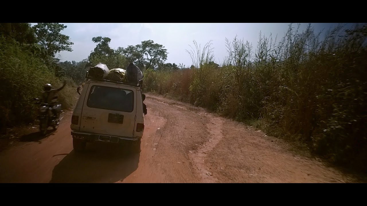 Days30777325's tweet card. Sax Machine - Now You Know