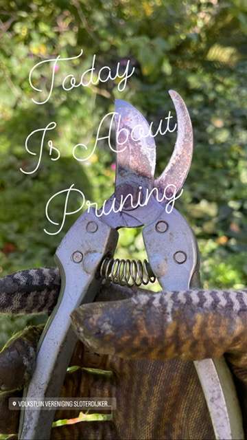 joost_rongen's tweet card. Starten met digitale toegankelijkheid of het onderhouden van de status: het kan overrompelend zijn. Meer dan 20 websites binnen de organisatie, dan nog zove ...