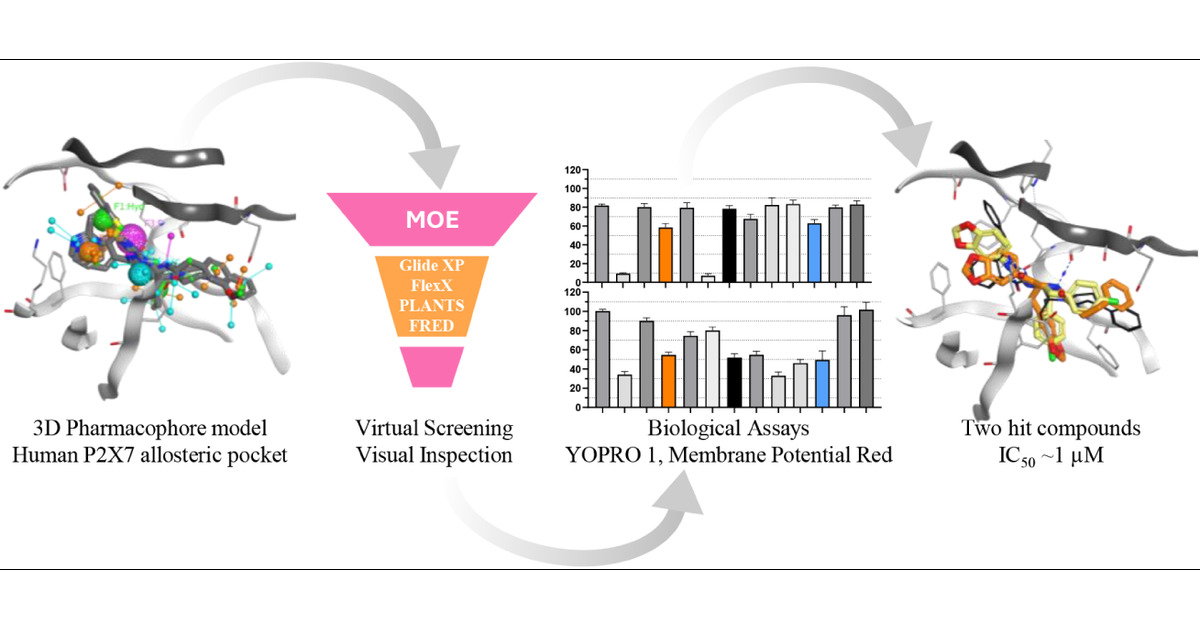 JCIM_JCTC's tweet card. P2X7 receptors, a subtype of ATP-gated cation channel, have gained attention due to their involvement in inflammatory and neurodegenerative diseases, chronic pain, and cancer. However, despite...