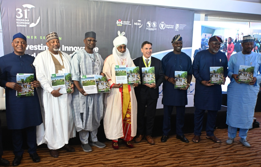 arps_media's tweet card. Launched at the 31st Nigerian Economic Summit, a new study by AfDB, WFP, and IFPRI outlines strategic investments in northern Nigeria’s agriculture, focusing on key crops to enhance food security,...