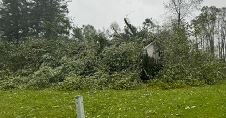 Tweet card summary image