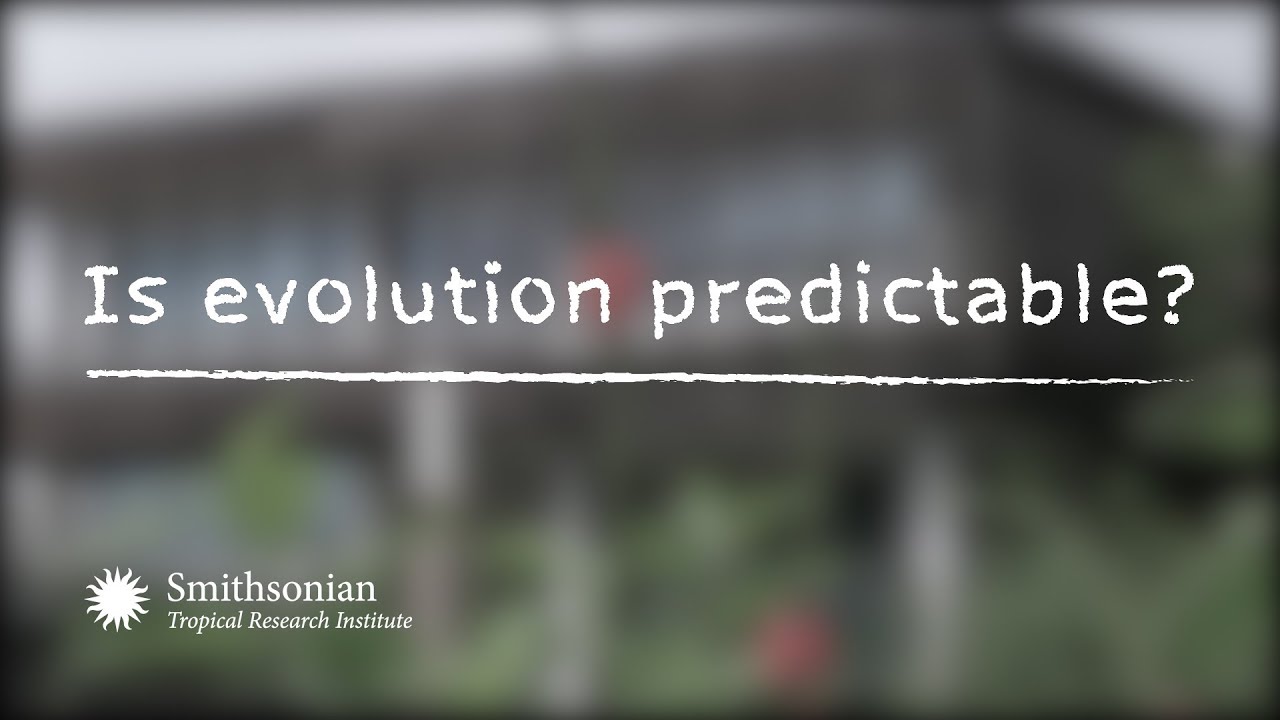 davidtianbio's tweet card. Is evolution predictable?