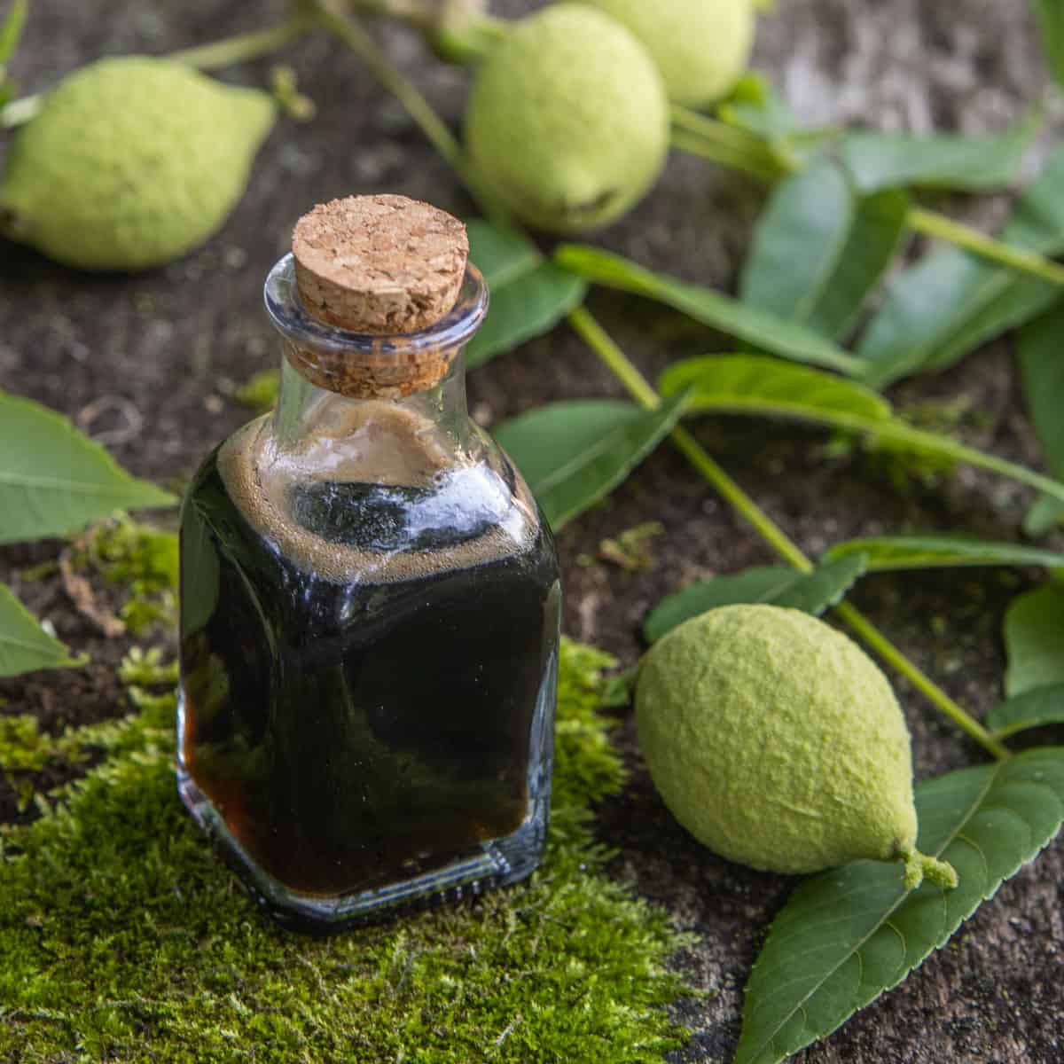 Conf_Ratafia's tweet card. A thick, rich syrup made from green walnuts and sugar fermented in their own juice.