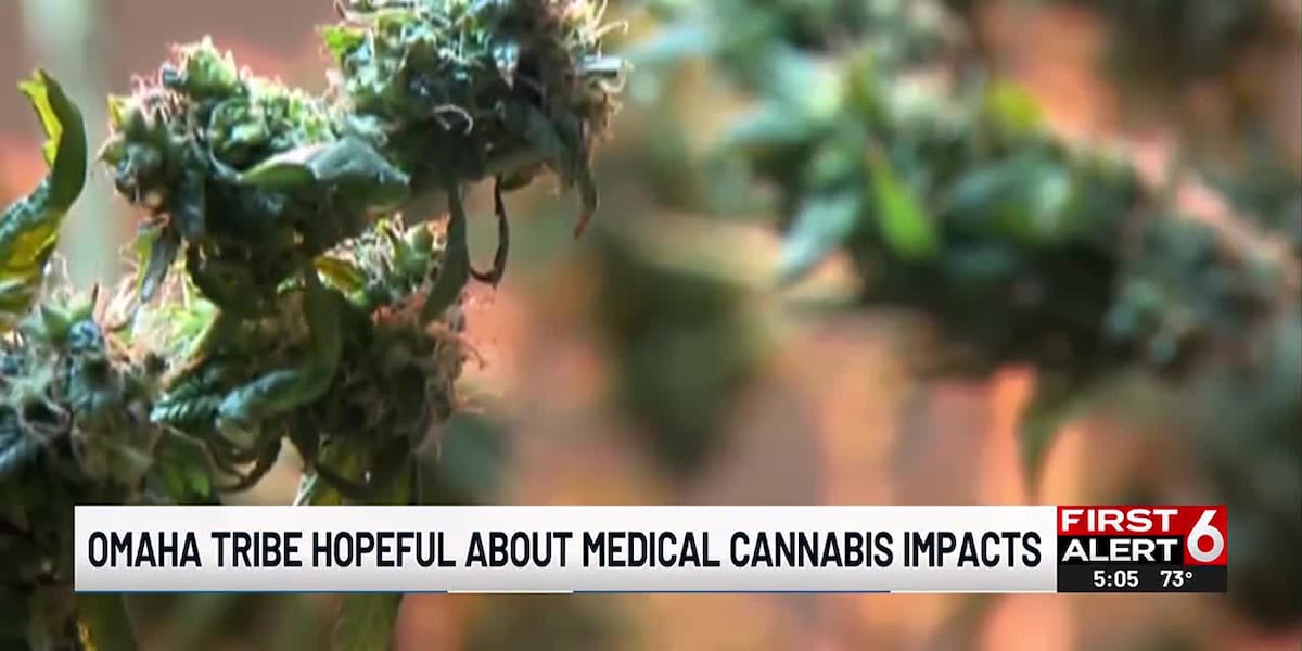 NativeUnity's tweet card. While a lack of funding, politics, and imminent legal challenges from Nebraska state officials aid in slow-walking Nebraska’s medical cannabis law into reality, there’s another government in the...